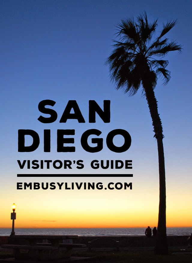 A Brief San Diego Visitor's Guide // Visit downtown San Diego, The San Diego Zoo, La Jolla, and more!