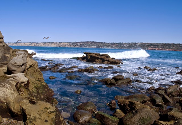 A Brief San Diego Visitor's Guide // Visiting the cliffs of La Jolla