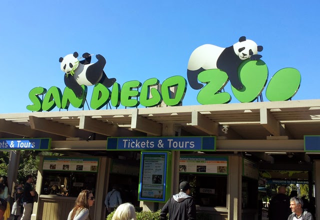 A Brief San Diego Visitor's Guide // Visit the San Diego Zoo