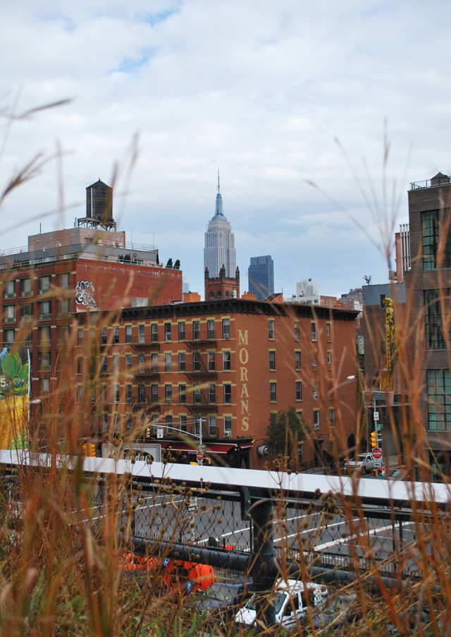 Visiting the High Line in New York City | Em Busy Living